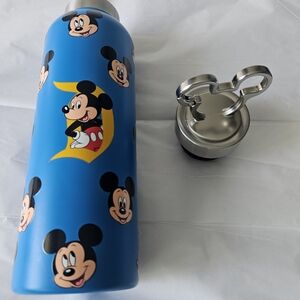 New Disneyland Park Water Bottle